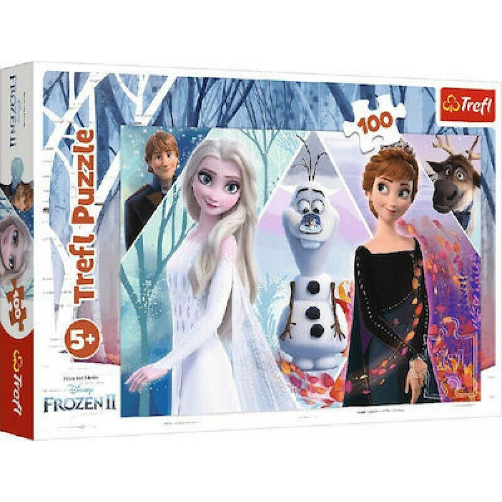 Puzzle  Frozen Enchanted Land 100pcs