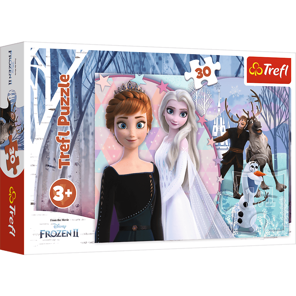 Magical Frozen 30pcs